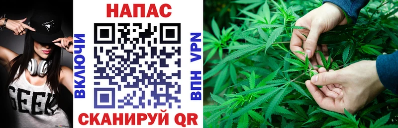Шишки марихуана Amnesia  Покровск 